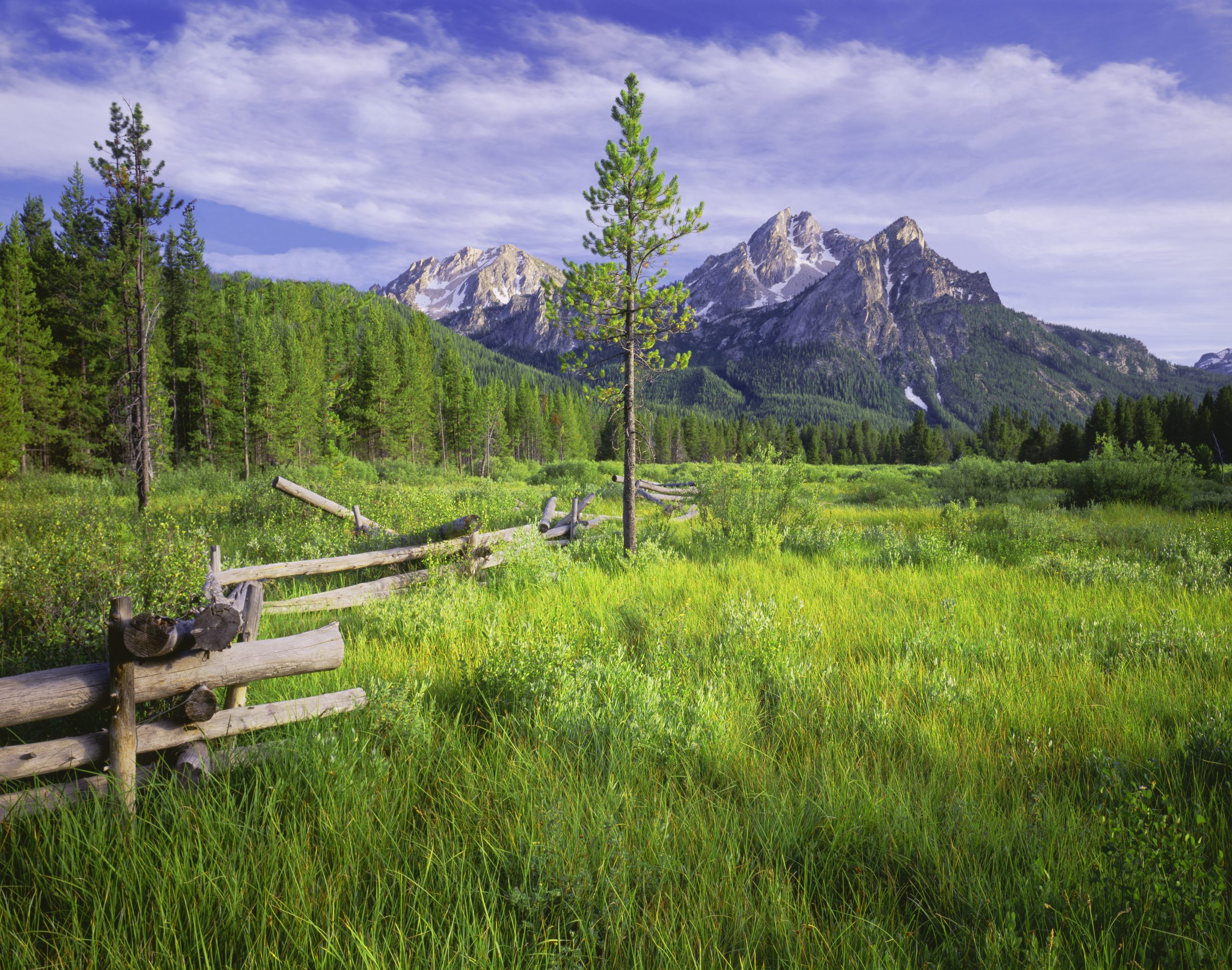 The Sawtooth Range sits in the distance in  a meadow, in the Sawtooth National Recreation Area of Stanley, Idaho.